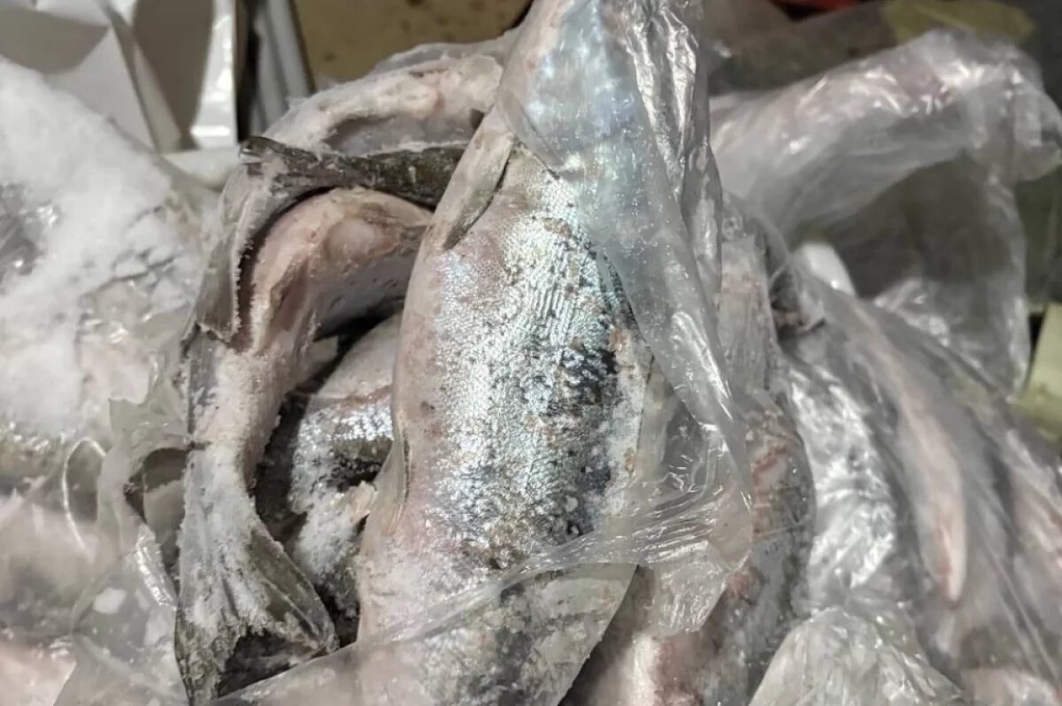    Жителей Сахалина обвинили в вылове кеты на 1 млн рублей