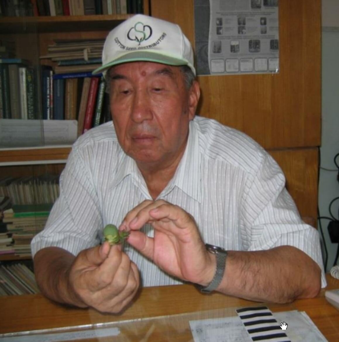   Абдумавлон Абдуллаев возглавлял и участвовал в экспедициях в Китай, Индию, Австралию, Пакистан, Мексику для пополнения коллекции генофонда, содержащей дикие виды и формы хлопчатника с признаками скороспелости, листопадности, продуктивности и высокого качества волокна, устойчивости к засухе, вредителям и болезням. Собранный им генофонд хлопчатника – это национальное богатство Узбекистана.