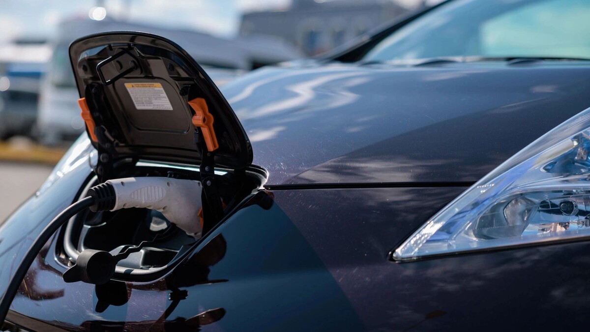    Фото: Сергей Зубков/«Ямал-Медиа»