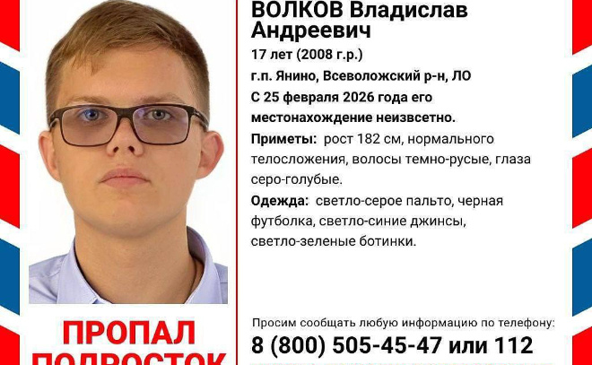    © СУ СКР по Ленобласти