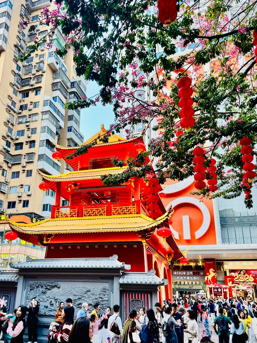 Иногда даже моря не нужно - просто пусть будет тепло и красиво. Китай 2026