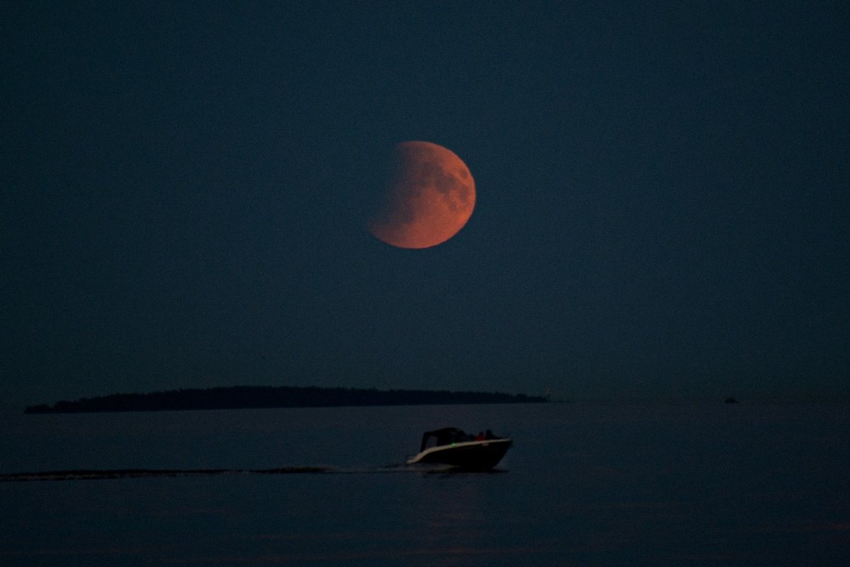    фото: © Столица на Онего