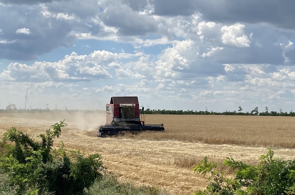    Россельхозцентр рассказал о состоянии почвы перед началом посевных работ на Херсонщине Дмитрий СТЕШИН