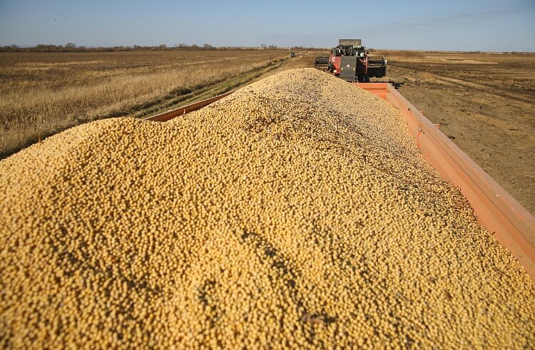    Фото: Игорь Новиков (Правительство Приморского края)