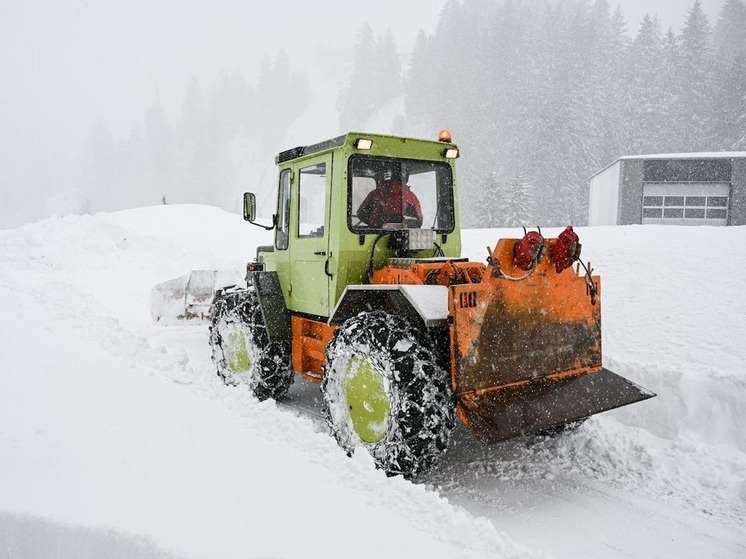     Фото: adrian vieriu/pexels.com