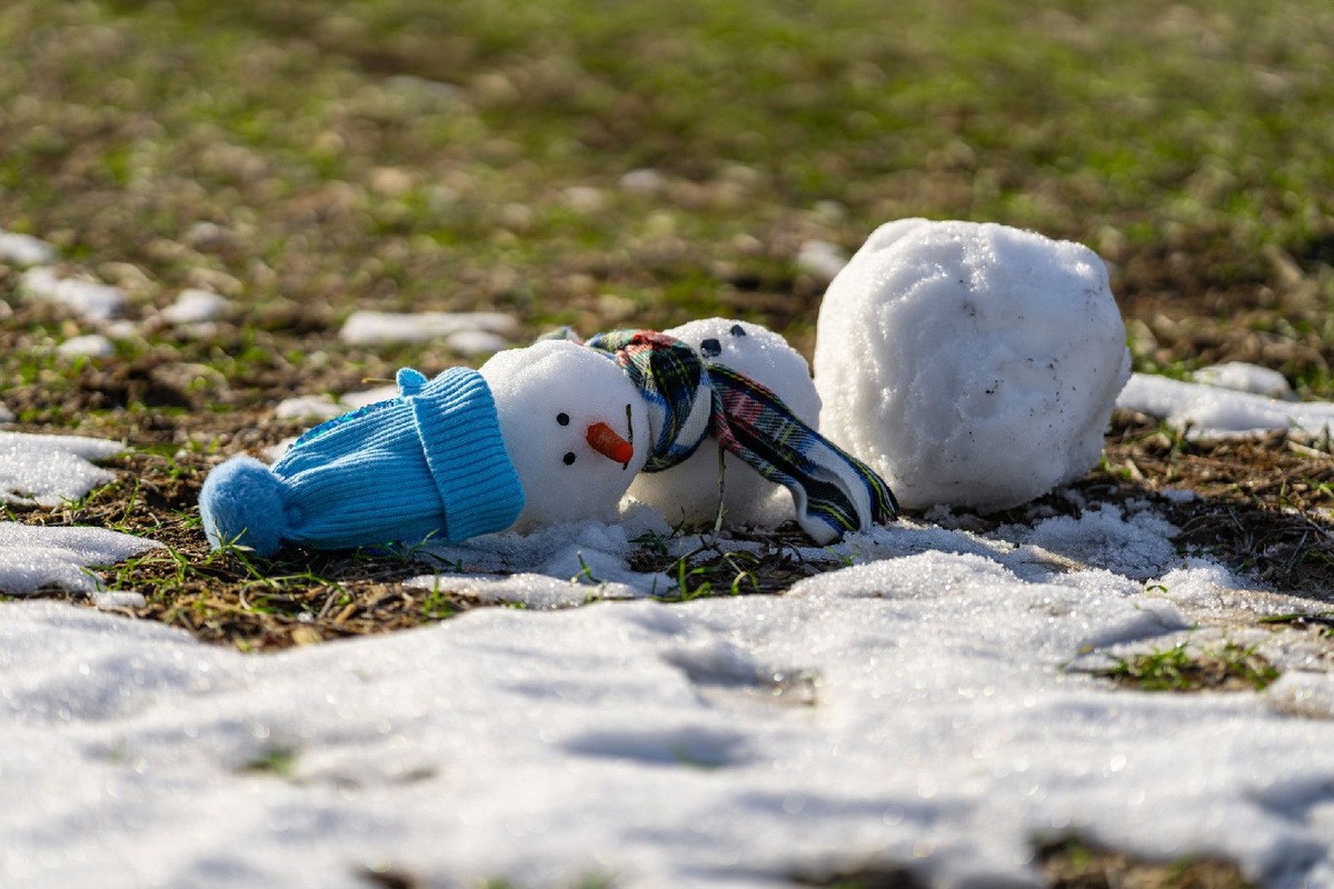    Фото: iStock/Tverdohlib