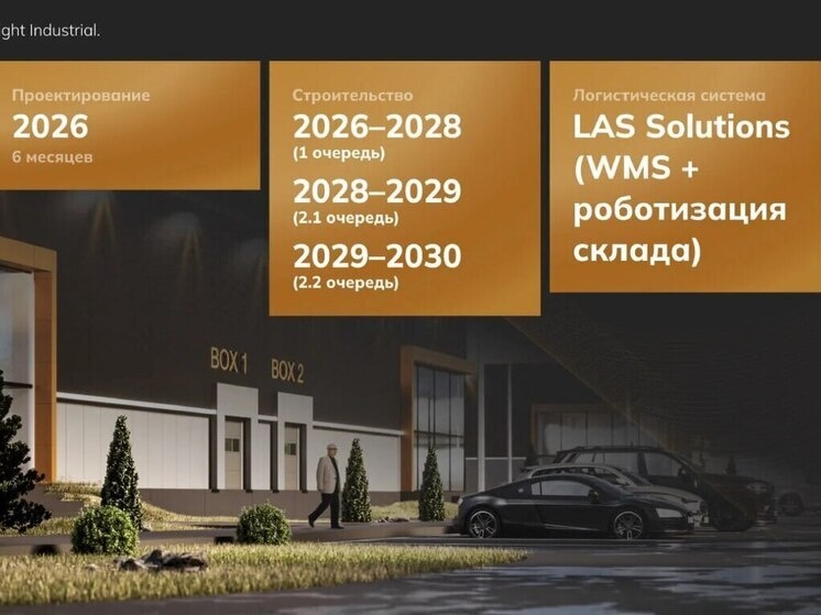     фото Скриншот презентации проекта.