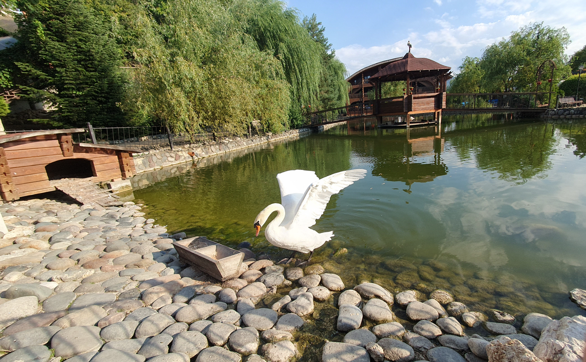 «Даховская Слобода»– это крупный туристический комплекс в посёлке Даховская, который часто выбирают как базу для поездок по Адыгее. Территория достаточно большая, но всё расположено компактно и понятно. Место популярное, поэтому в сезон людей бывает много, но за счёт пространства это не сильно напрягает.