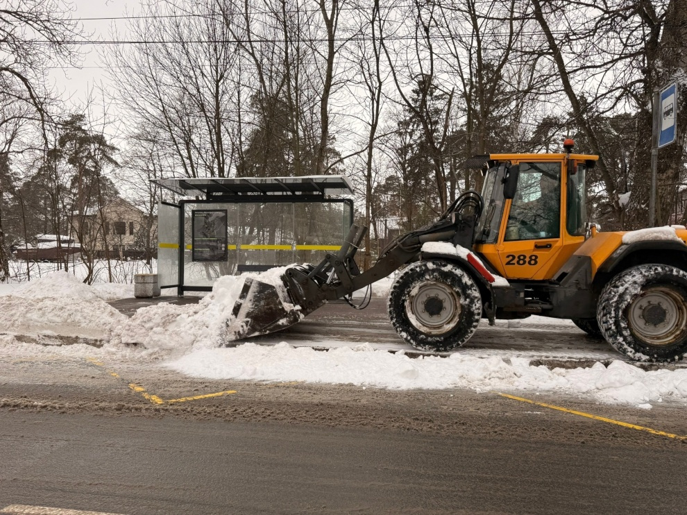    Фото: https://www.gov.spb.ru/gov/otrasl/blago/news/312200/