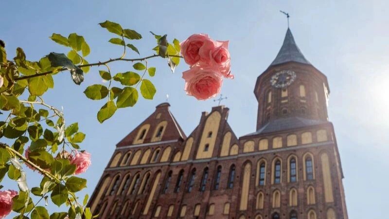    Фото: Birute Vijeikiene/Shutterstock/Fotodom