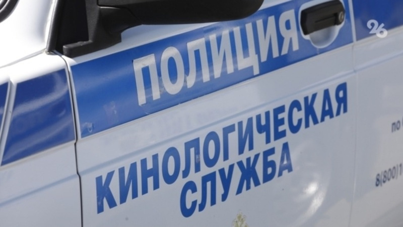      Фото: ИА «Победа26»