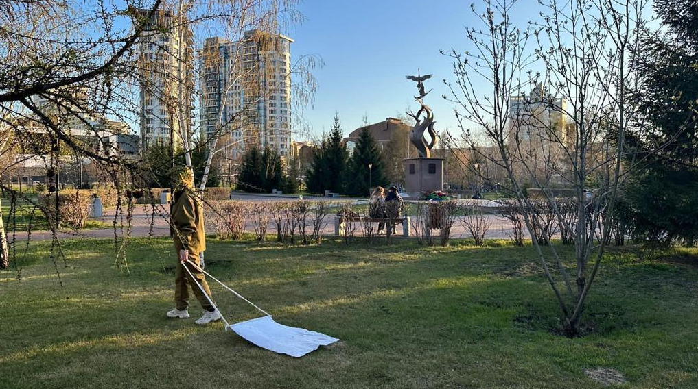     В Красноярске нашли подрядчика для обработки города от клещей