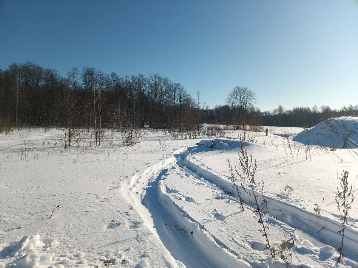 #Бенедиктыч_в_лесу #ОФМЕ #Отдых_на_природе