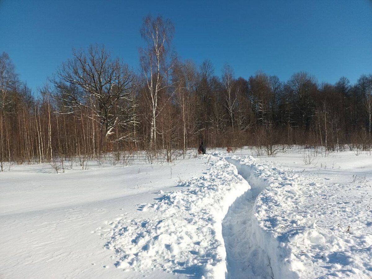 #Бенедиктыч_в_лесу #ОФМЕ #Отдых_на_природе