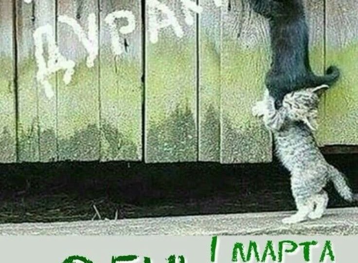 Выходные...День второй и третий)