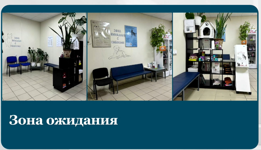 Как адаптировать клинику под кэтфрендли без серьезных вложений. Фото: скриншот с презентации победителей. 