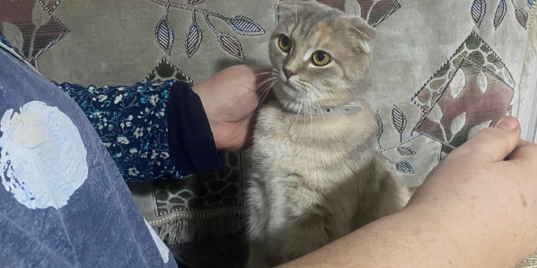 Денег нет, а радость есть .