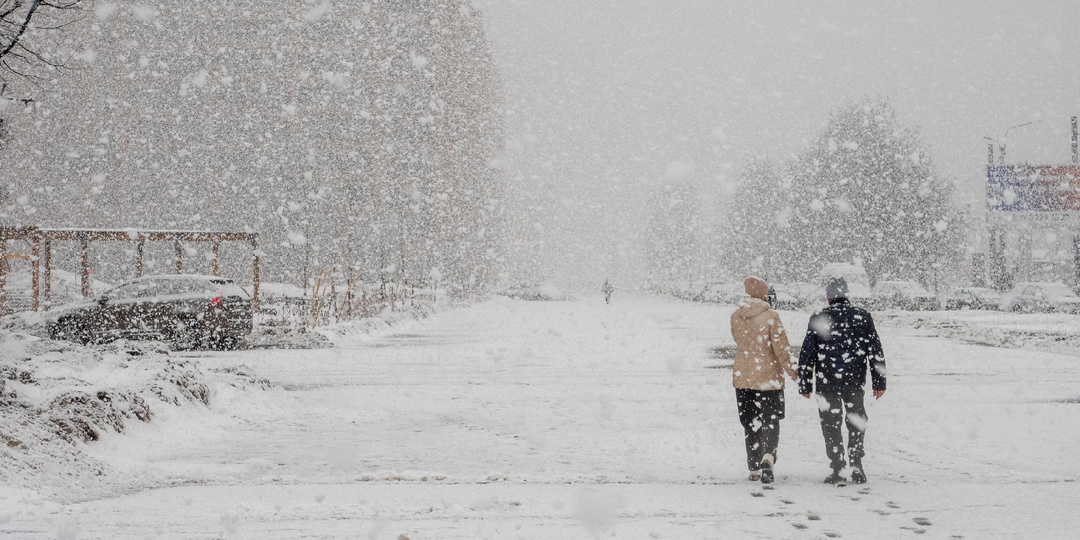 Мартовская метель