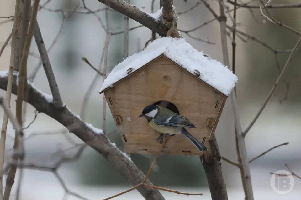    Фото: Дмитрий Рогулин / "Городские вести"