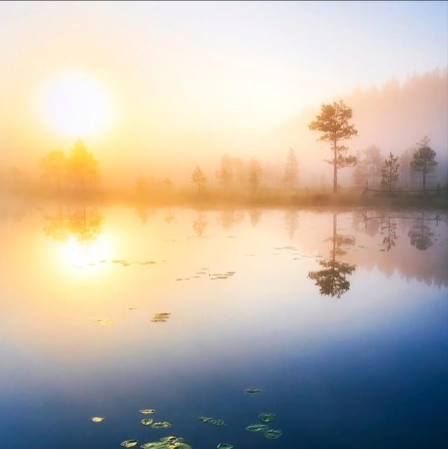 Все наши поступки, отражаются в наших близких, как в воде деревья.