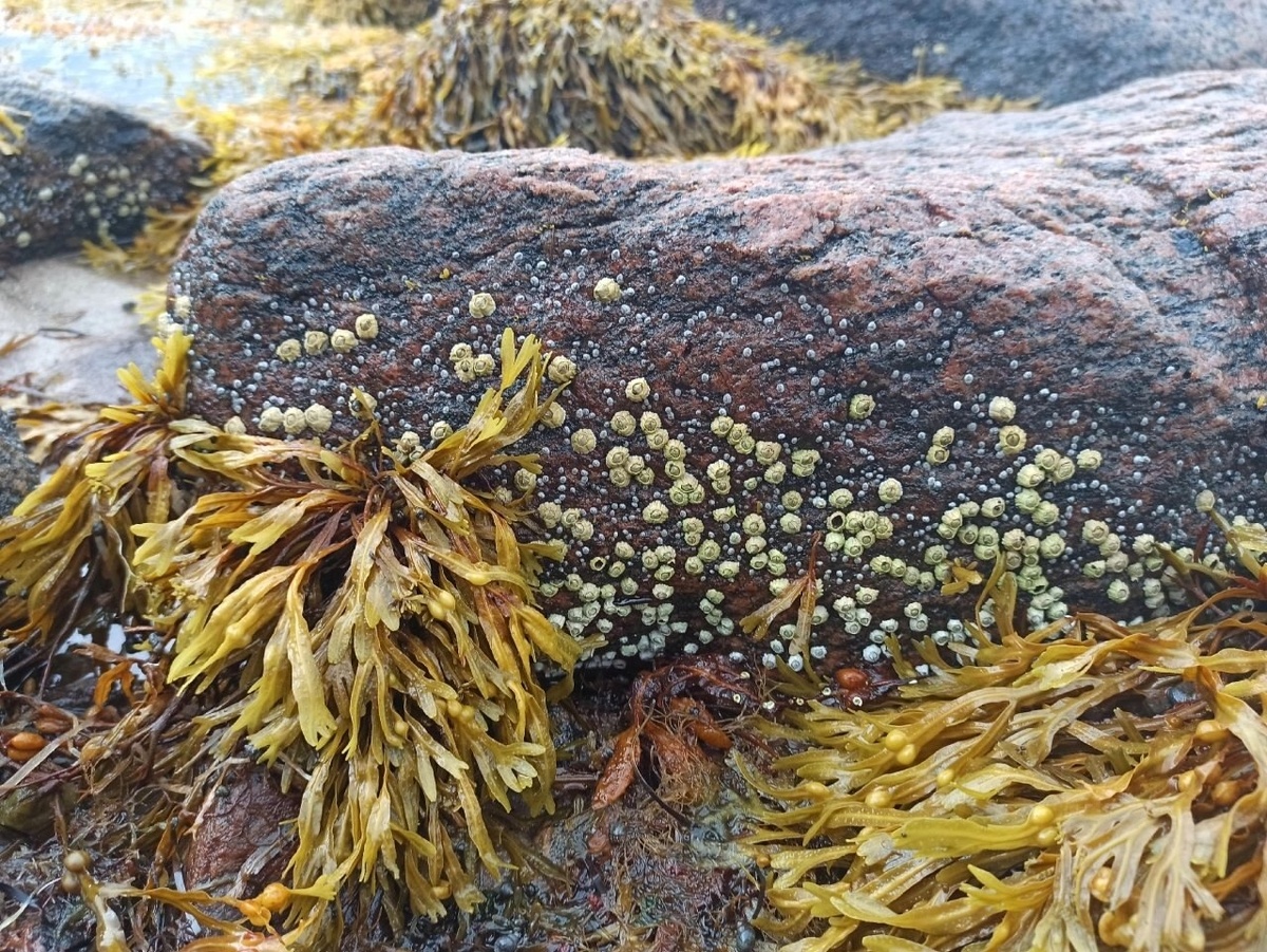    Артур Парфенчиков / ВК