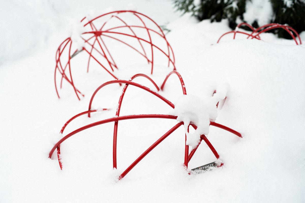 Работа российского  художника Веры Седовой