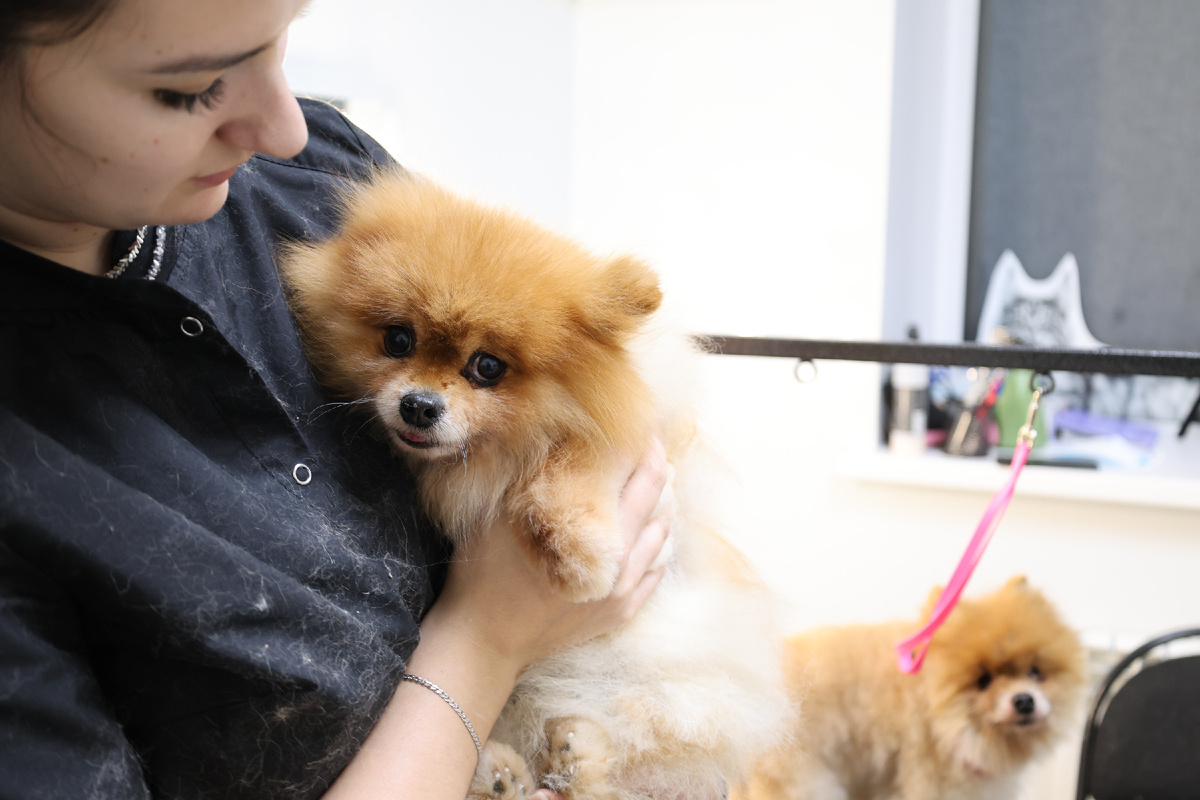 Мы верим, что благодаря нашему общему порыву ещё больше людей задумаются об ответственности и сострадании.