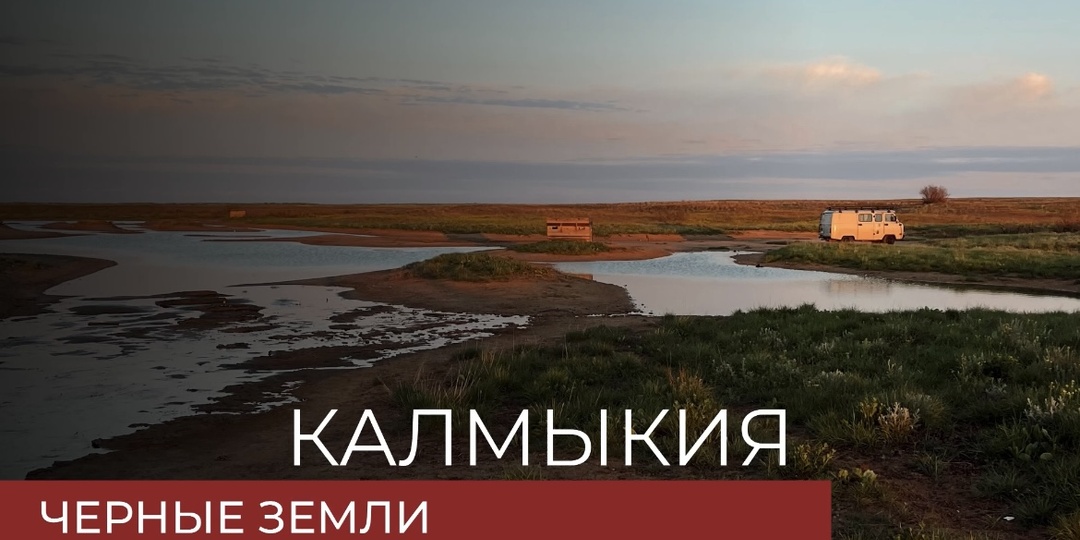 Калмыцкие степи: земля сайгаков