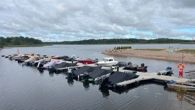 Фото: https://t.me/lenobladminka/21731