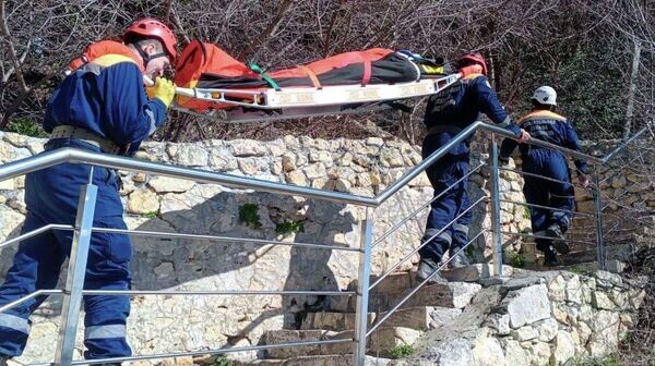    © Telegram Михаил Развожаев