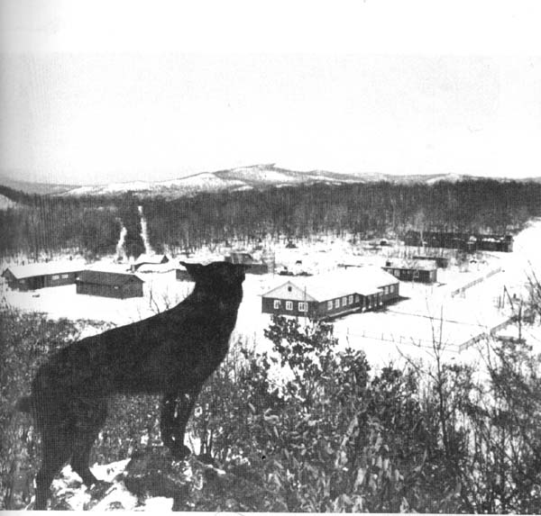 1-я пограничная застава 57-го Иманского пограничного отряда, "Кулебякины сопки", фотография 1969 года.