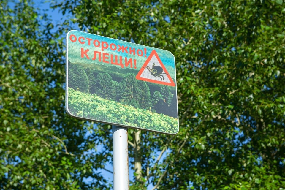   ИВАНОВА Диана