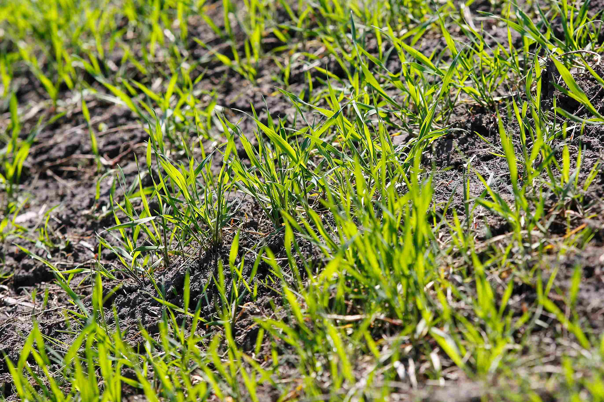 Источник: Поле.РФ