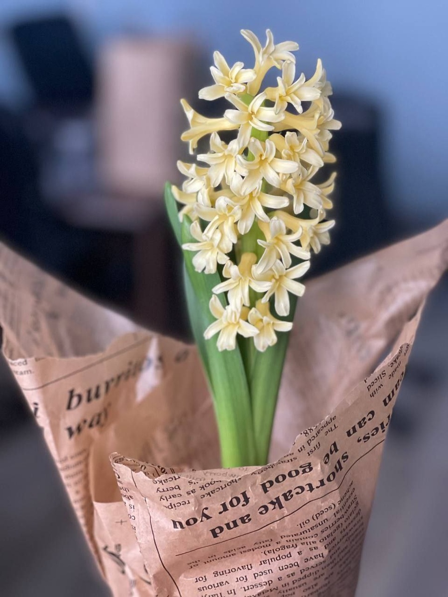 #Астропрогноз на 2-8 марта 2026. Ключевые аспекты дня