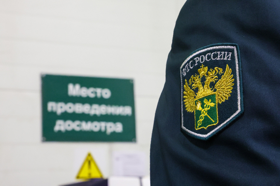    Алексей Белкин/NEWS.ru