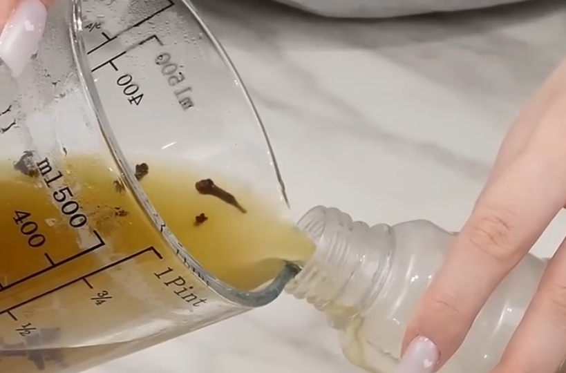 Как я избавилась от насекомых дома, на даче и в растениях