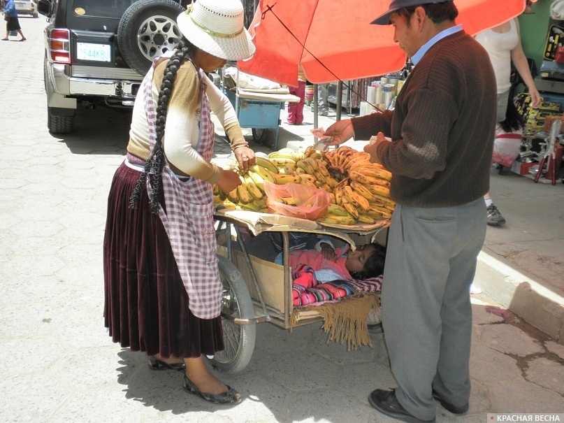     Боливия, уличная еда   
Арина Берсенева © ИА Красная Весна