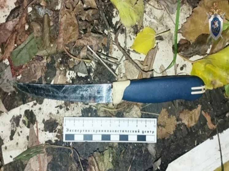   пресс-служба Следственного комитета Астраханской области