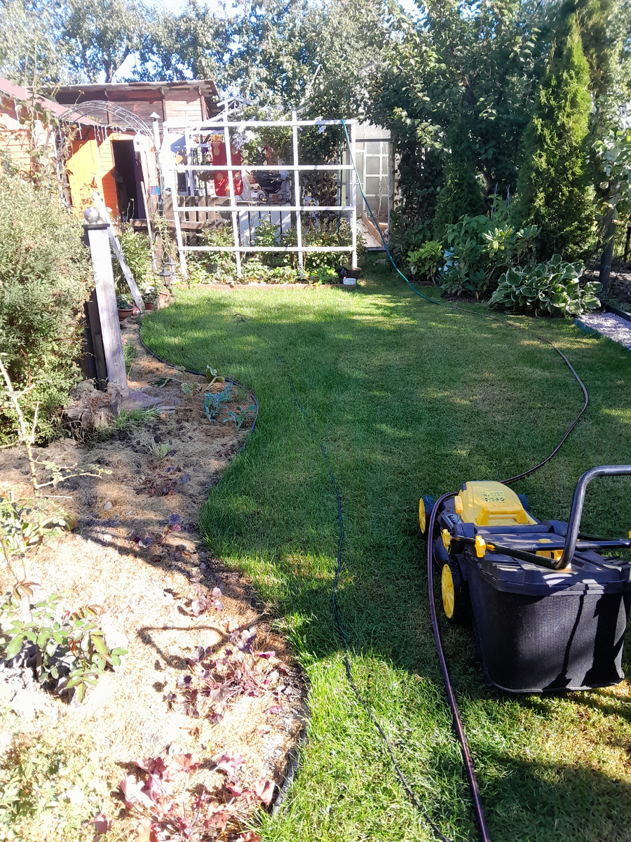 Та самая полянка.