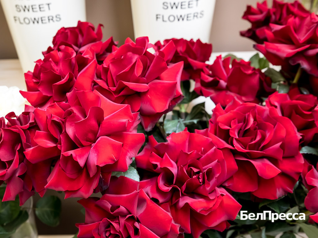     Фото: Павел Колядин