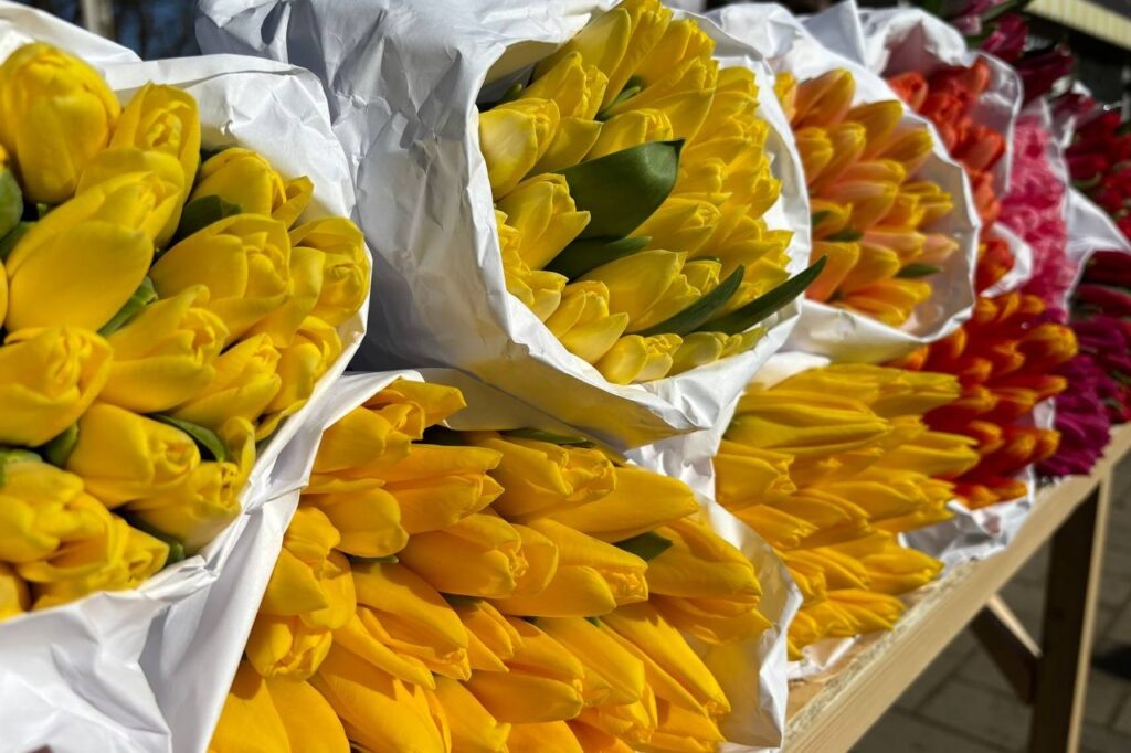    Фото: smolnarod.ru