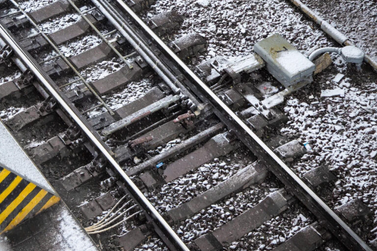    Фото: Общественная Служба Новостей Ирина Амелина