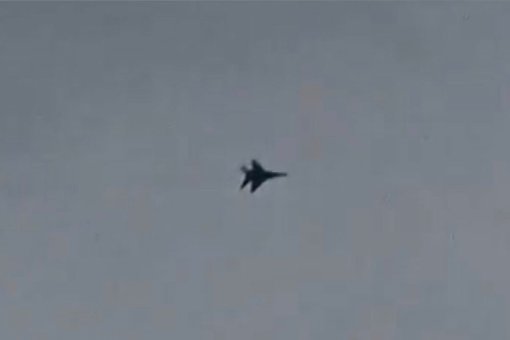    МиГ-29. / Фото: Соцсети