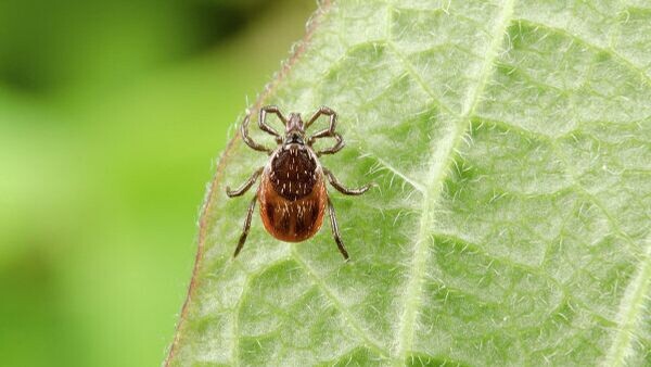    © © Fotolia/ Michael Tieck