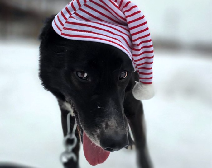 И снова ненужную игрушку выкинули на улицу💔