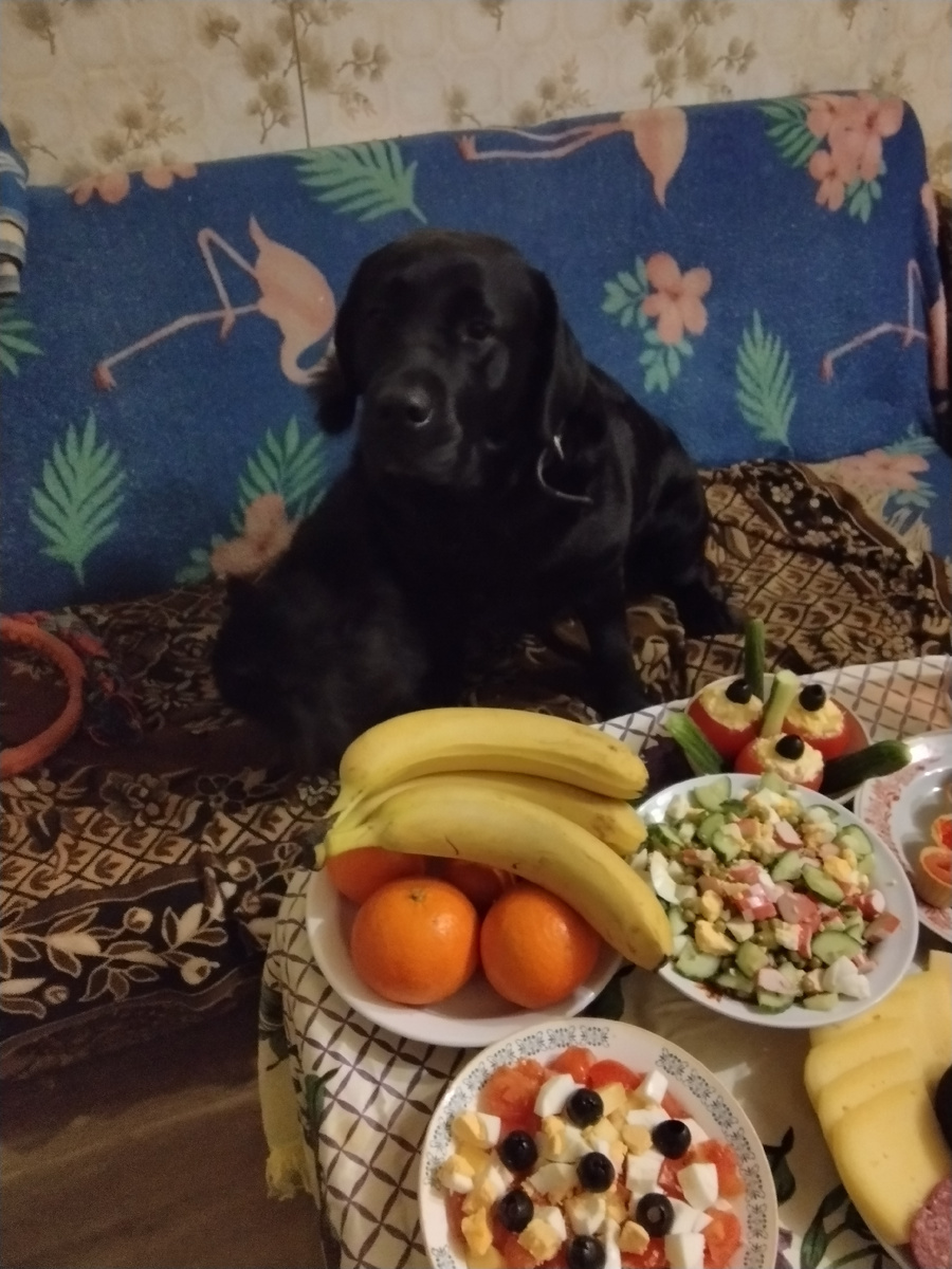 Фото автора.