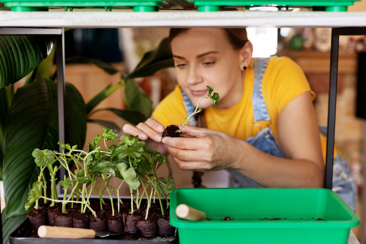     123RF/legion-media.ru