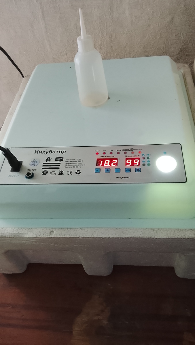 Инкубатор с названием "Инкубатор"!