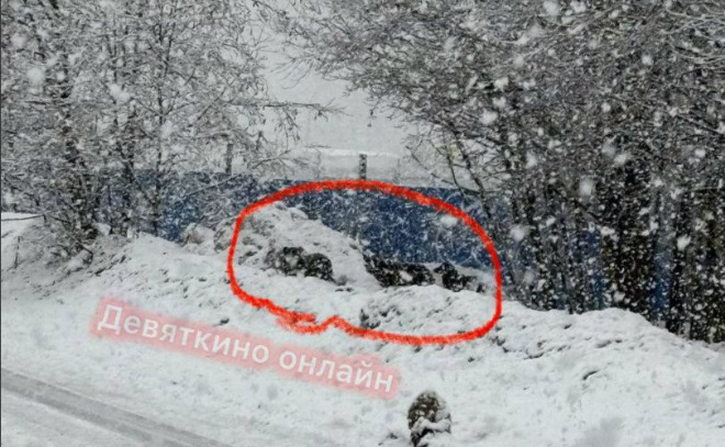    © Telegram-канал «Девяткино online | Мурино»