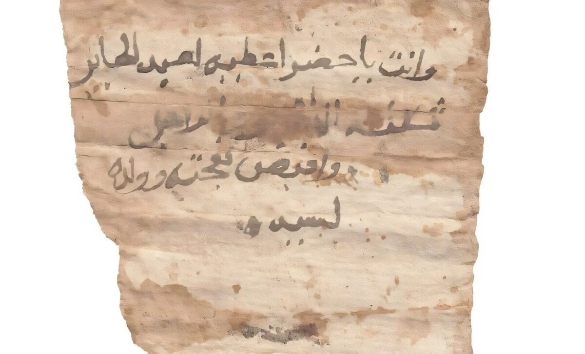    Фото: naked-science.ru Алла